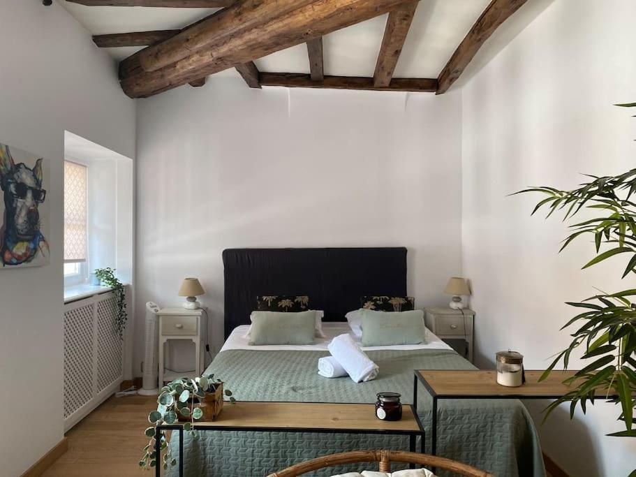 Apartmán Le Roseau - En Plein Coeur Historique Annecy Exteriér fotografie