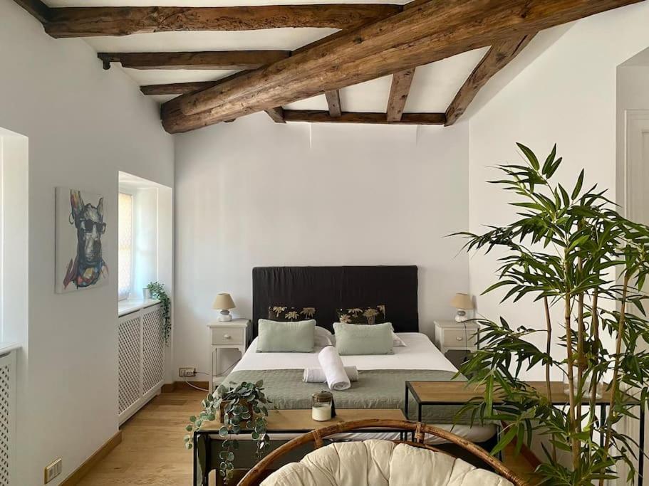 Apartmán Le Roseau - En Plein Coeur Historique Annecy Exteriér fotografie